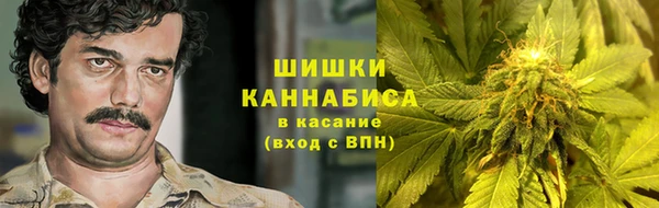 МДПВ Саяногорск