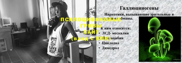 МДПВ Саяногорск