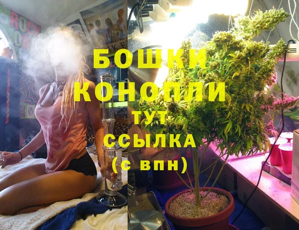 бутират Елабуга