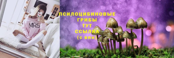 гашиш Сатка